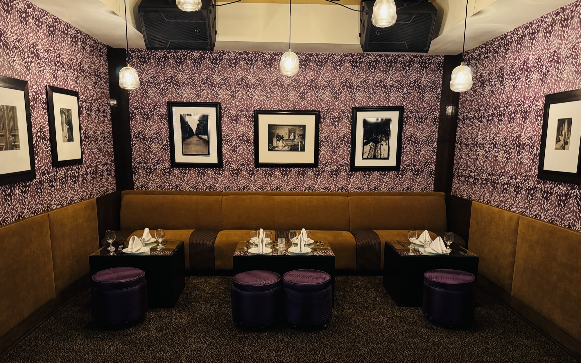 The Blue Leopard, Old Town, Chicago, interior by Scott Himmel & Co., image 6