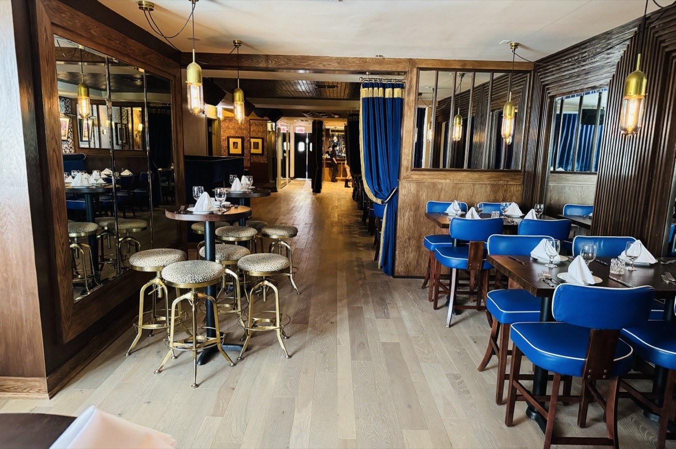 The Blue Leopard, Old Town, Chicago, interior by Scott Himmel & Co., image 3